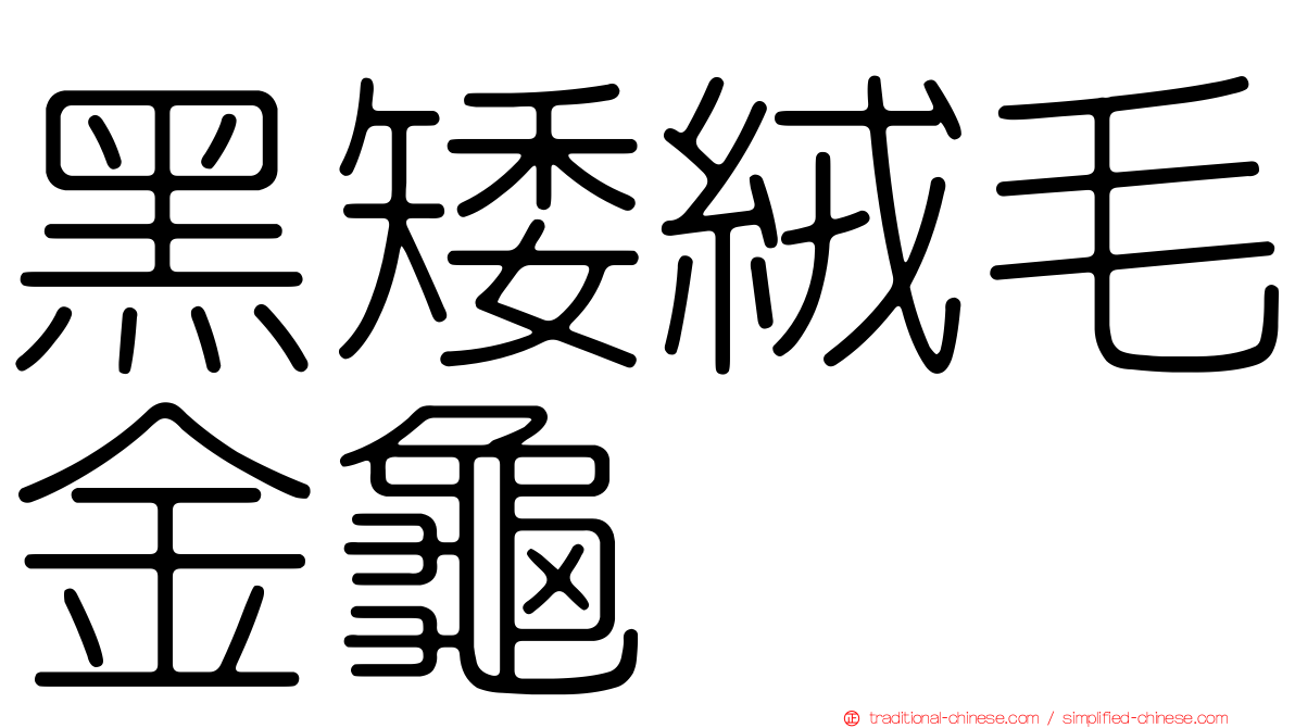 黑矮絨毛金龜