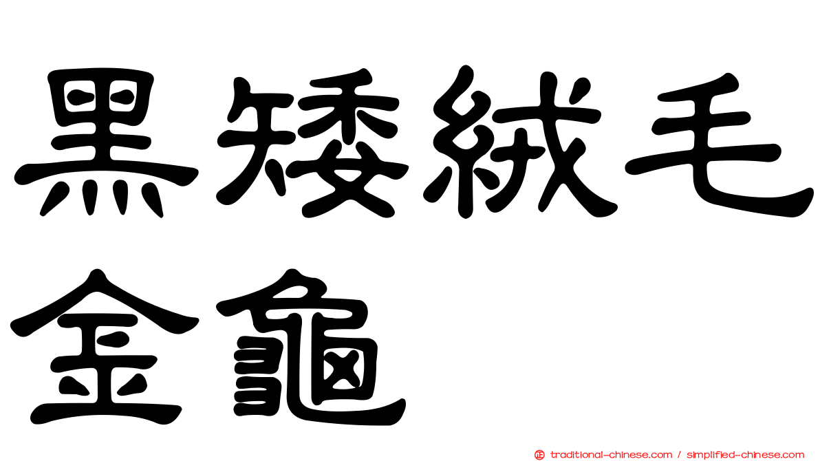 黑矮絨毛金龜