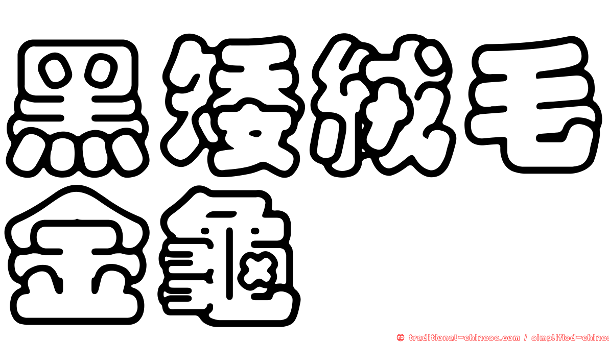 黑矮絨毛金龜