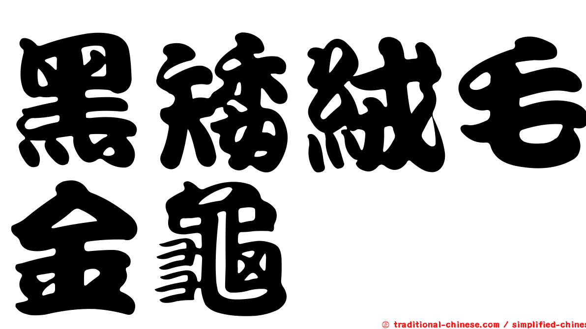 黑矮絨毛金龜