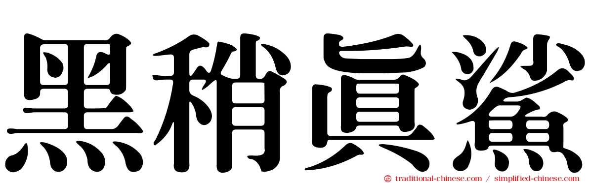 黑稍真鯊