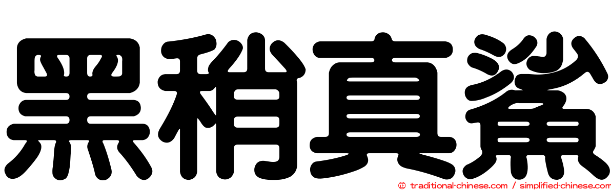 黑稍真鯊