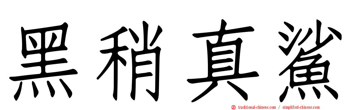 黑稍真鯊