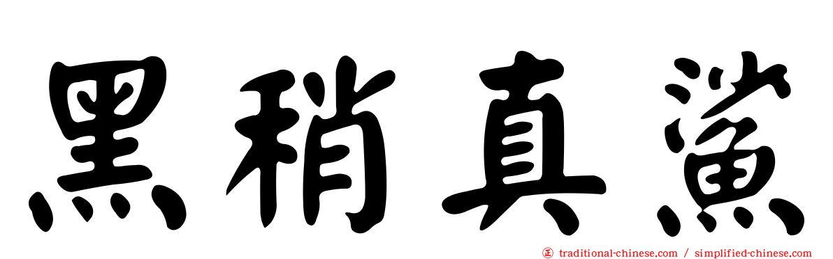 黑稍真鯊