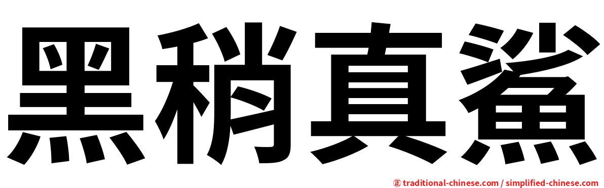 黑稍真鯊