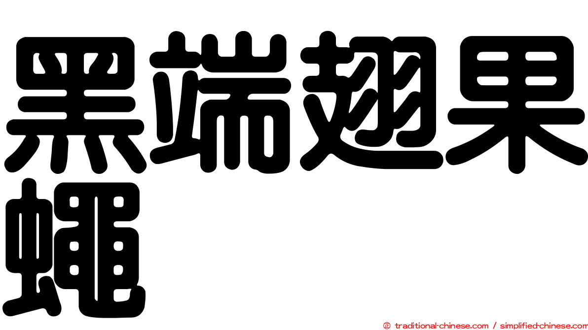 黑端翅果蠅