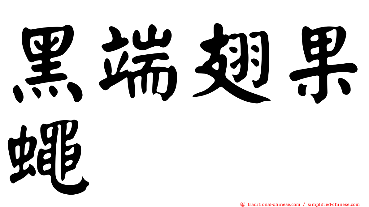黑端翅果蠅