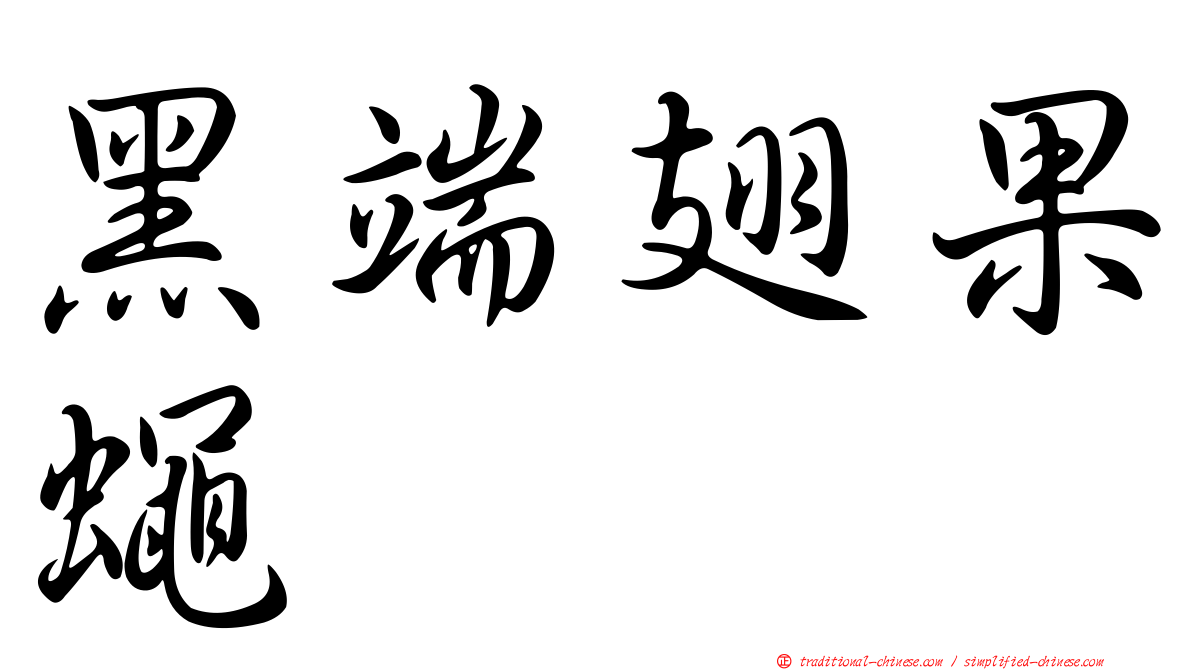 黑端翅果蠅