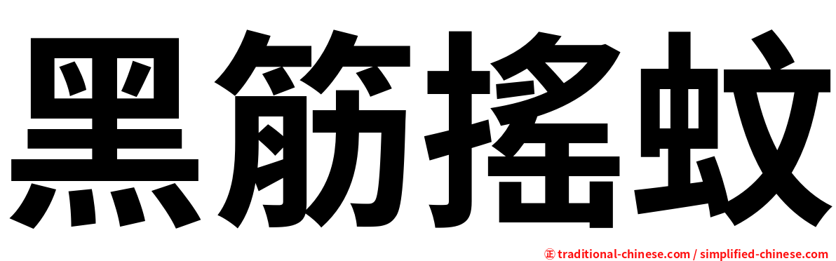 黑筋搖蚊