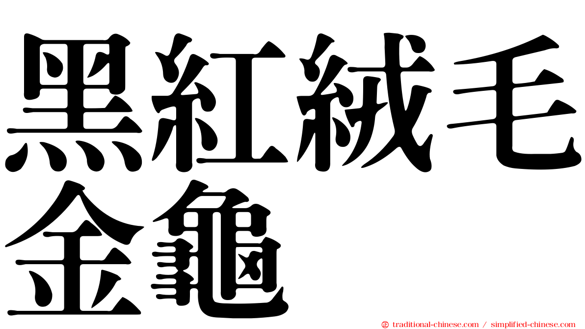 黑紅絨毛金龜