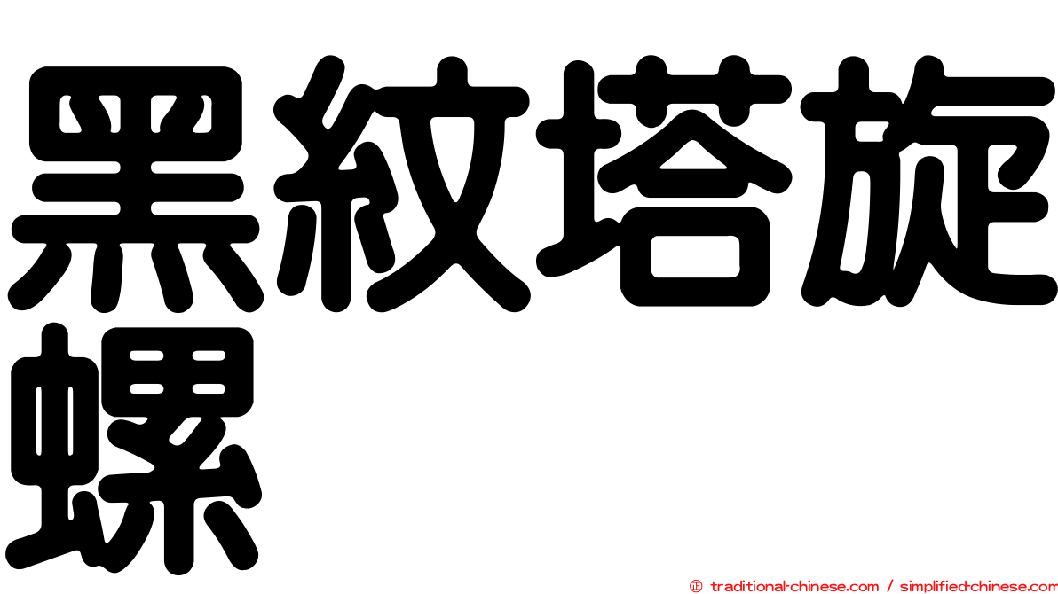 黑紋塔旋螺