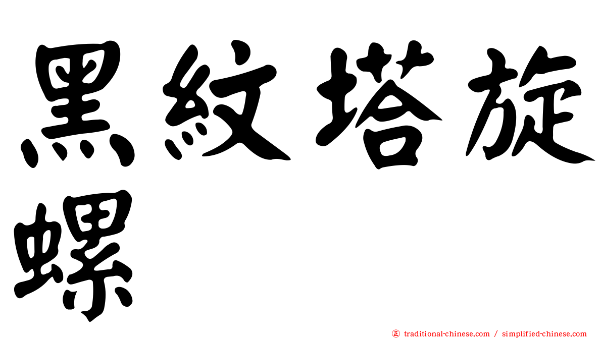 黑紋塔旋螺