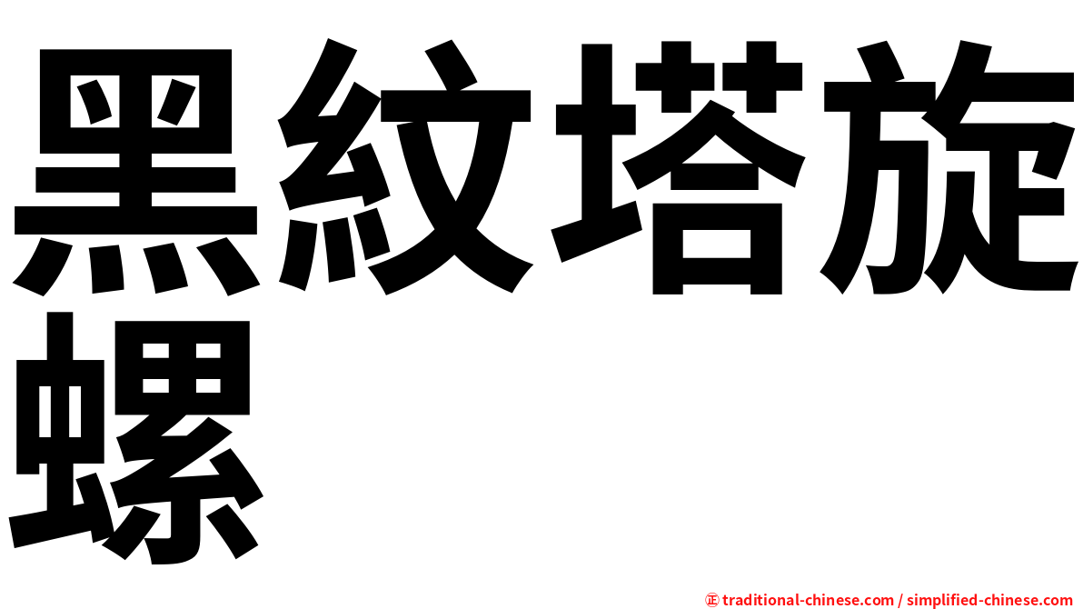 黑紋塔旋螺