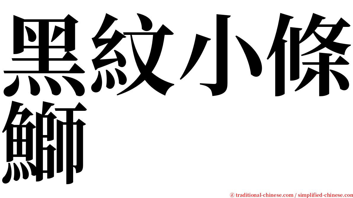 黑紋小條鰤 serif font