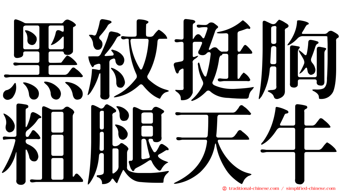 黑紋挺胸粗腿天牛