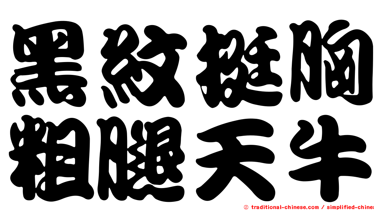 黑紋挺胸粗腿天牛