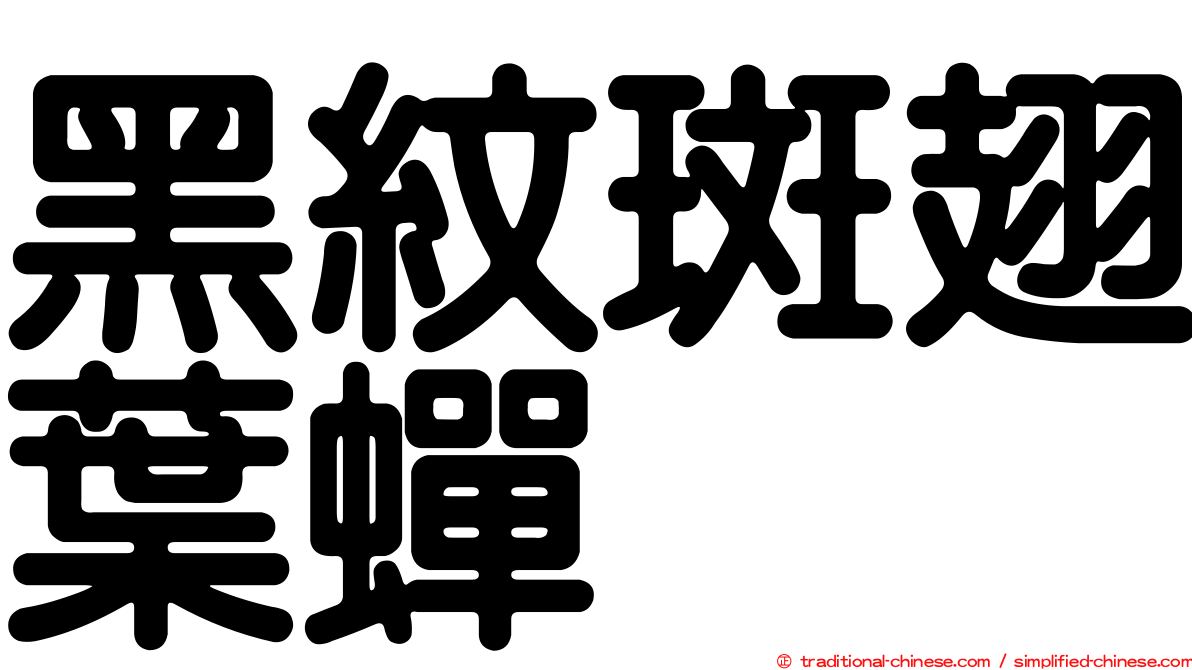 黑紋斑翅葉蟬