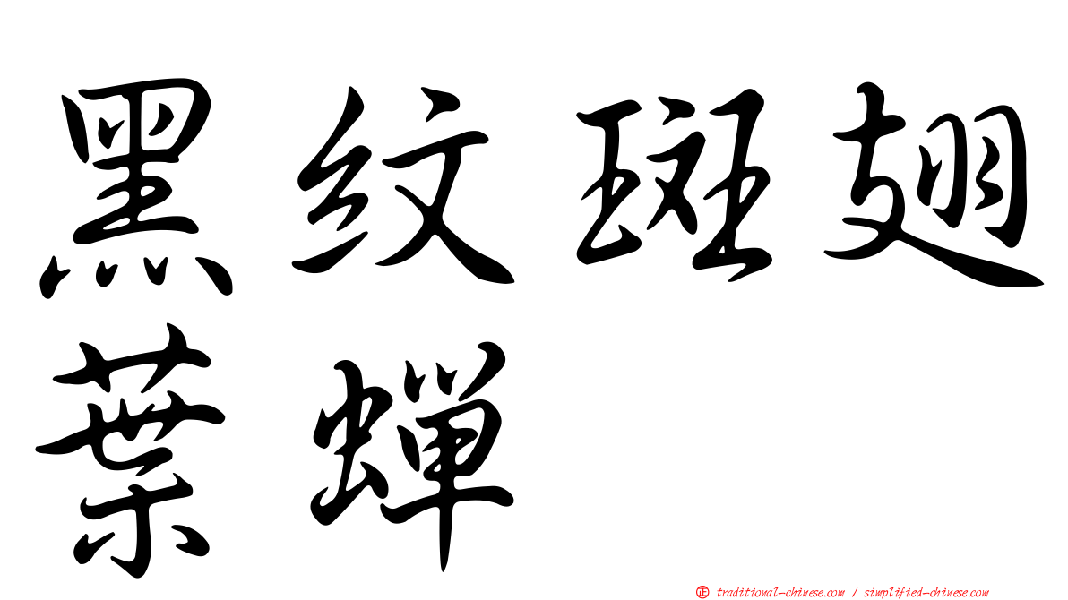 黑紋斑翅葉蟬