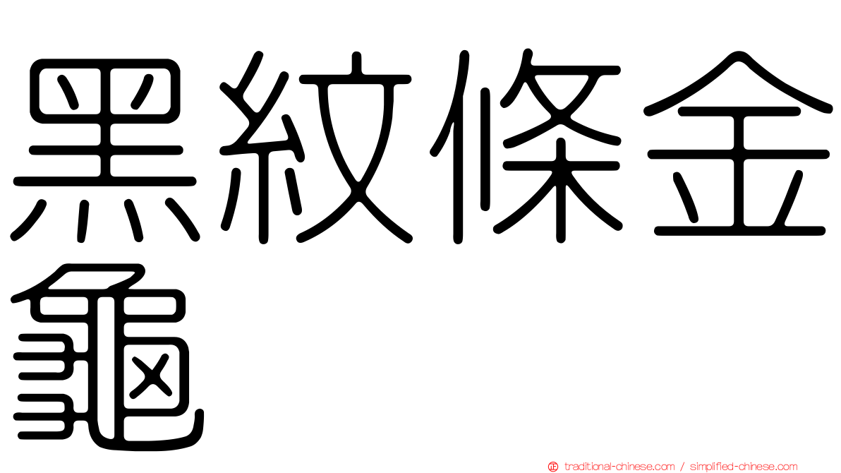 黑紋條金龜