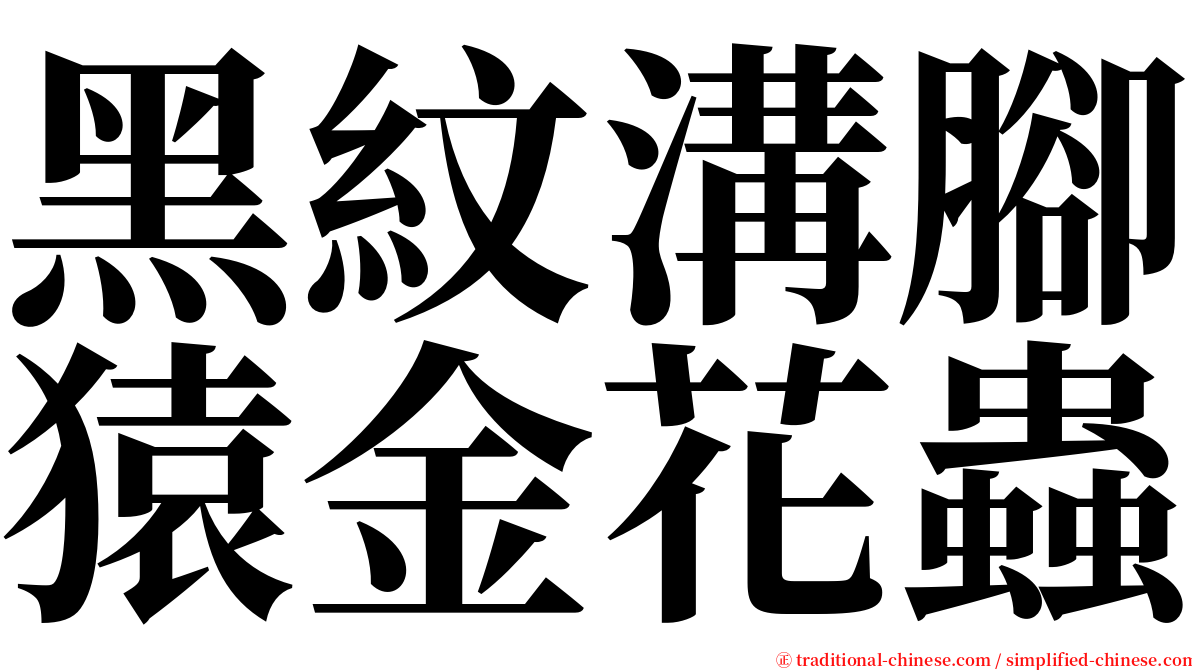 黑紋溝腳猿金花蟲 serif font