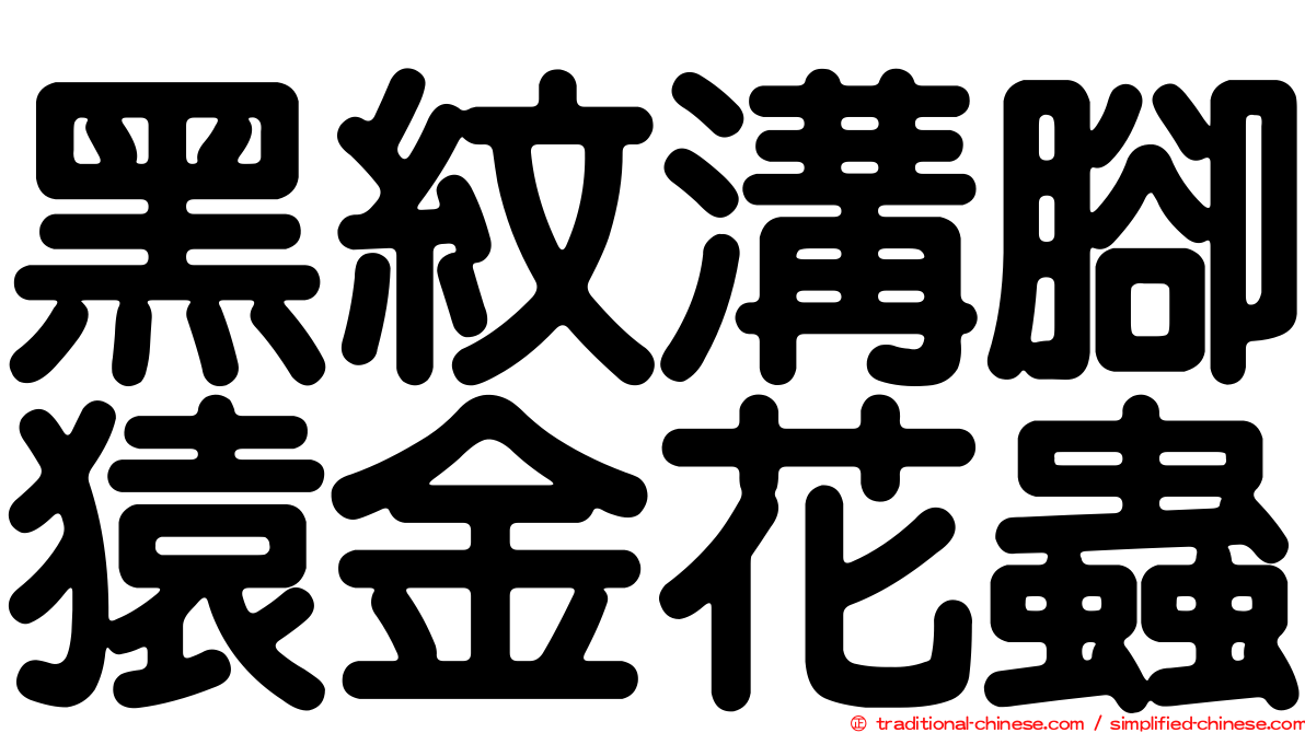 黑紋溝腳猿金花蟲