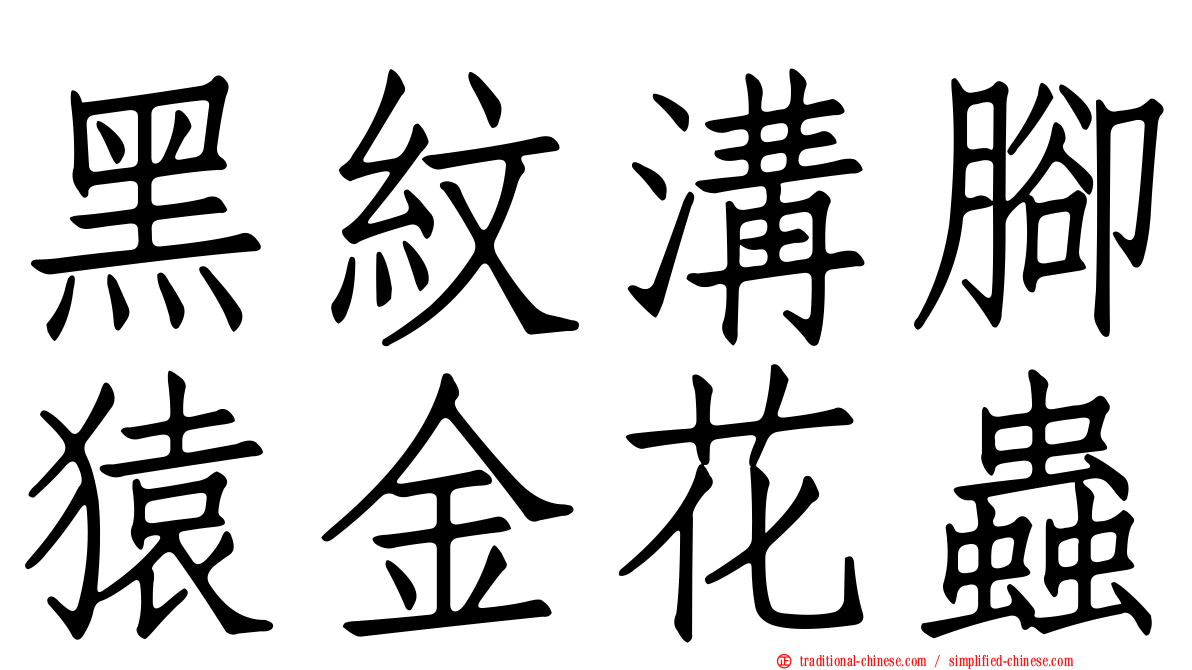黑紋溝腳猿金花蟲