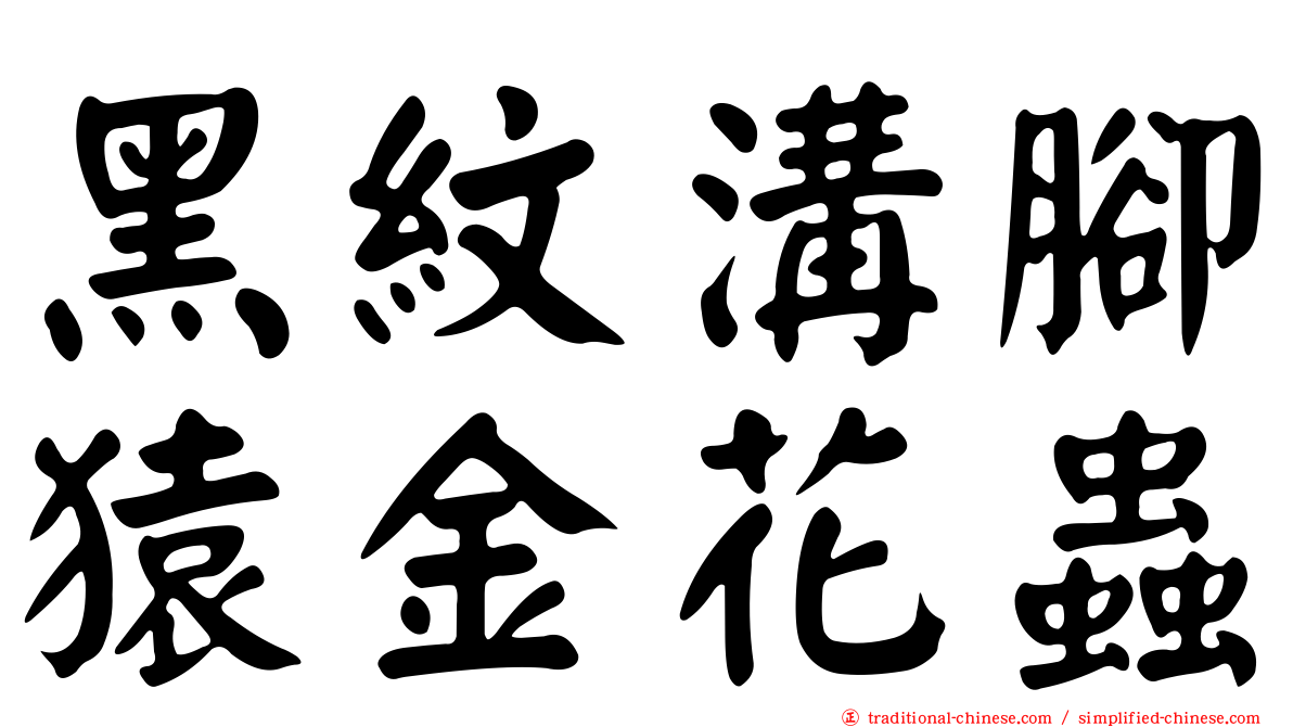 黑紋溝腳猿金花蟲