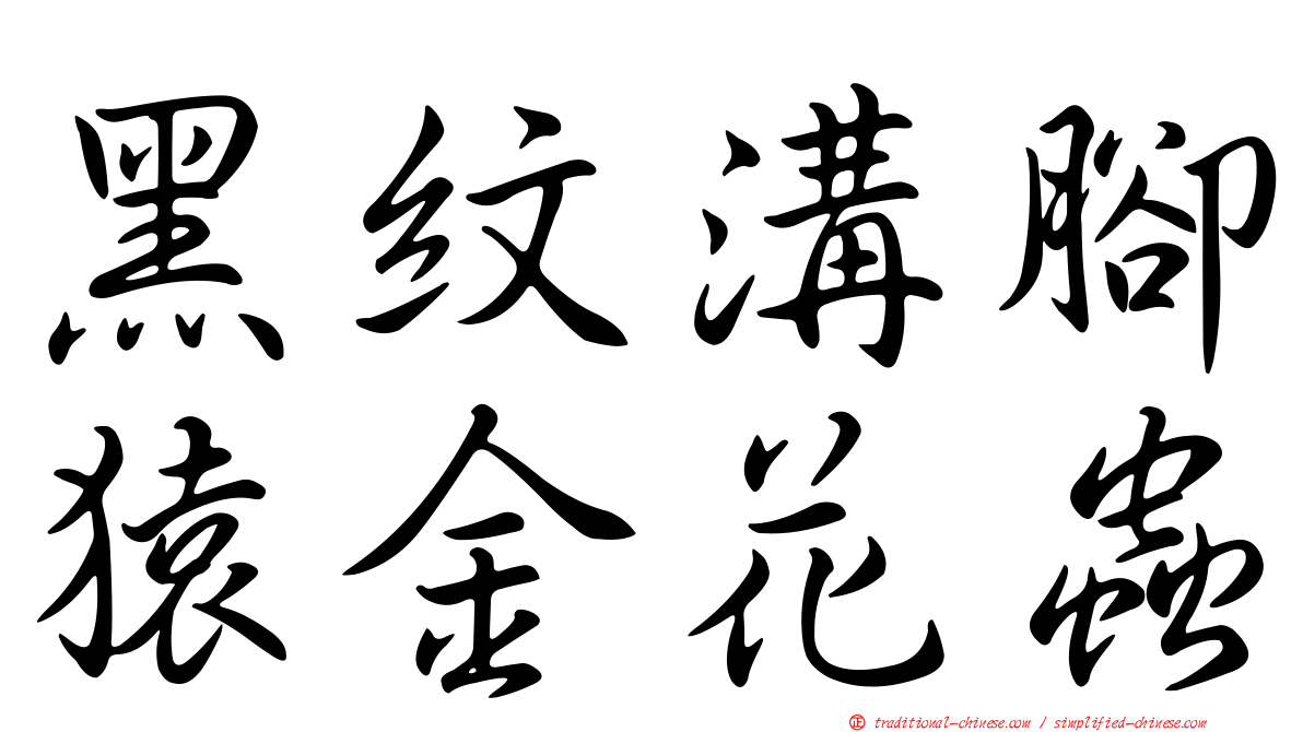 黑紋溝腳猿金花蟲
