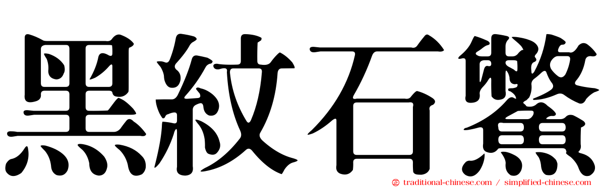 黑紋石鱉