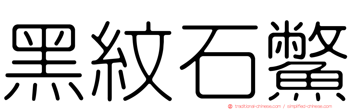黑紋石鱉