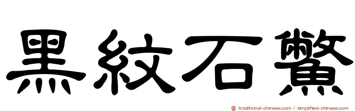 黑紋石鱉