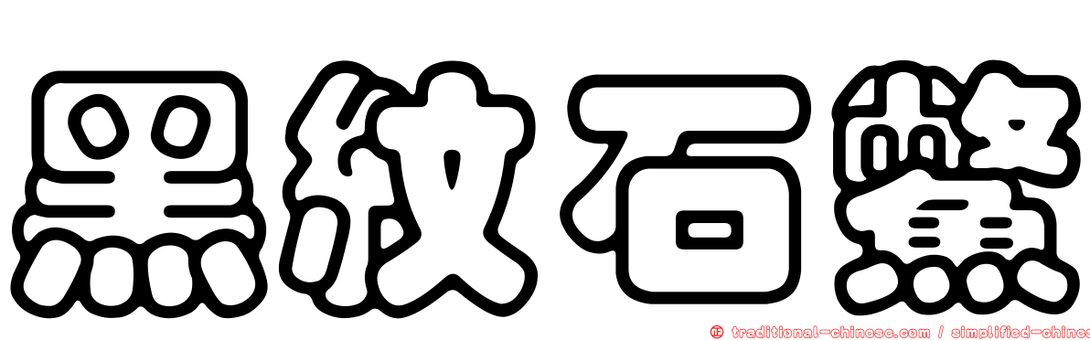 黑紋石鱉