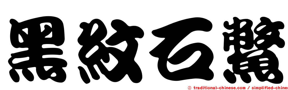 黑紋石鱉