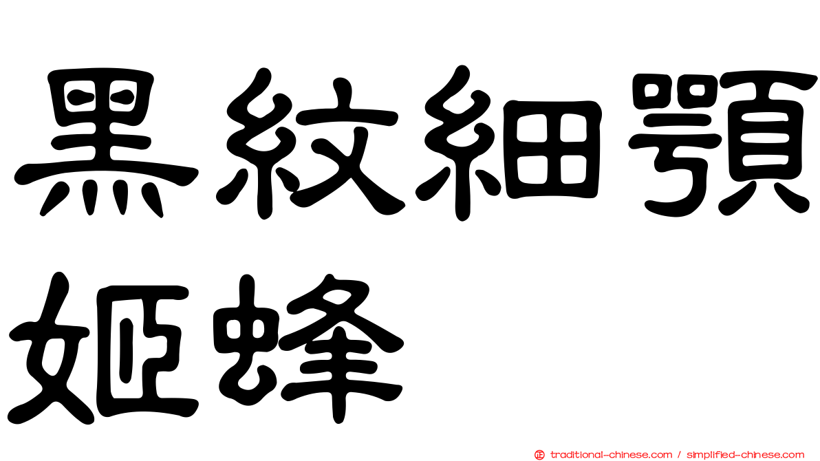 黑紋細顎姬蜂