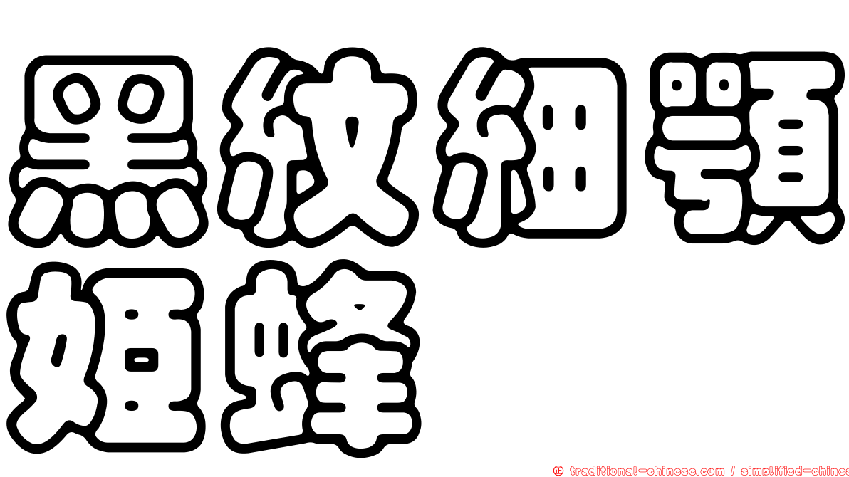 黑紋細顎姬蜂