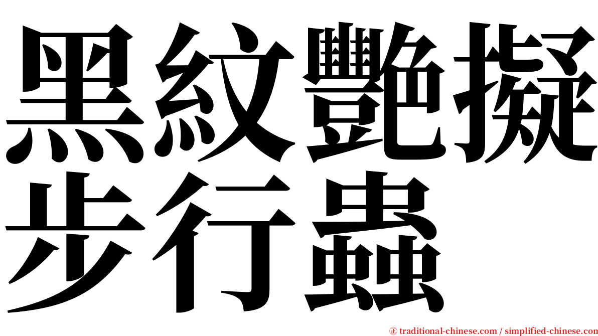 黑紋艷擬步行蟲 serif font