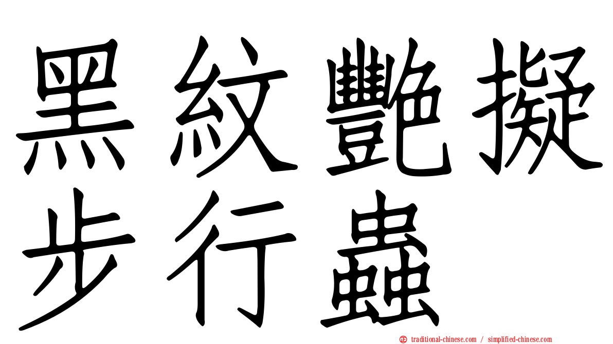 黑紋艷擬步行蟲