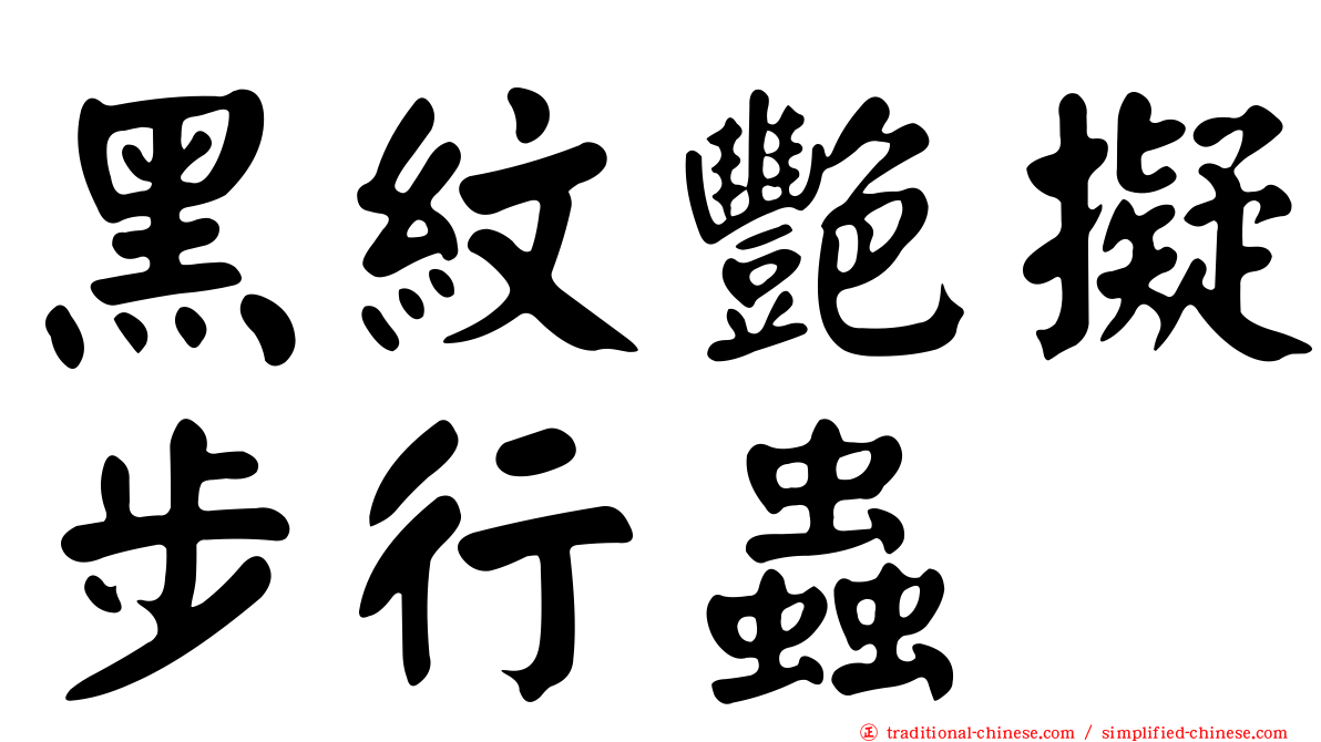 黑紋艷擬步行蟲