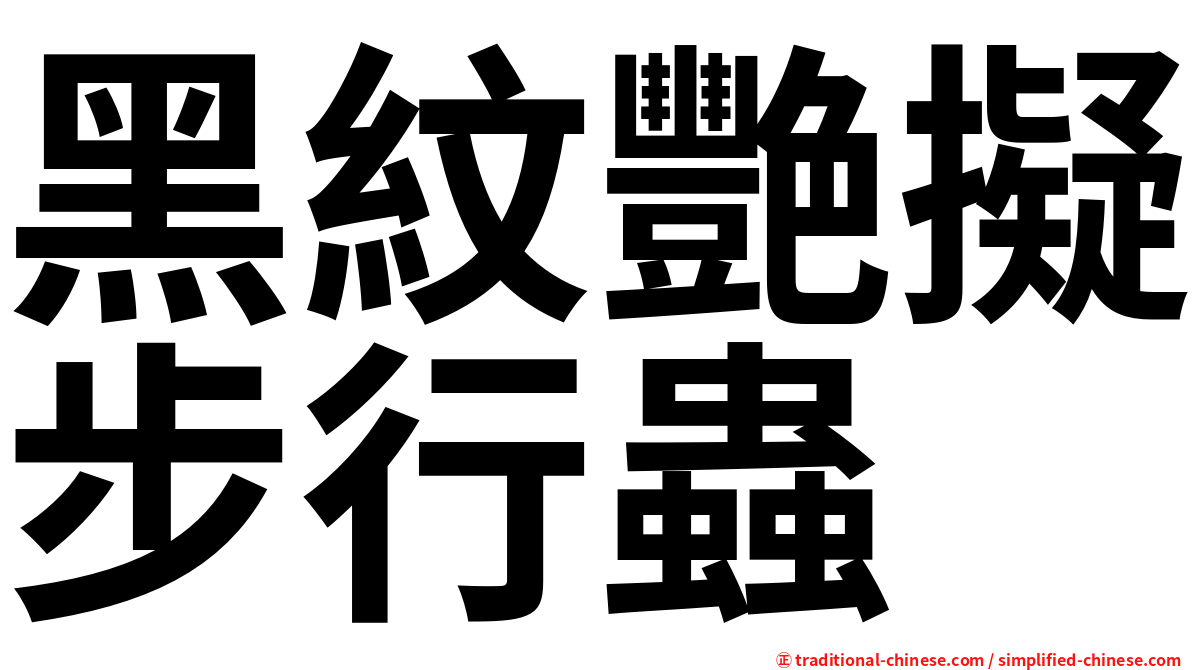 黑紋艷擬步行蟲