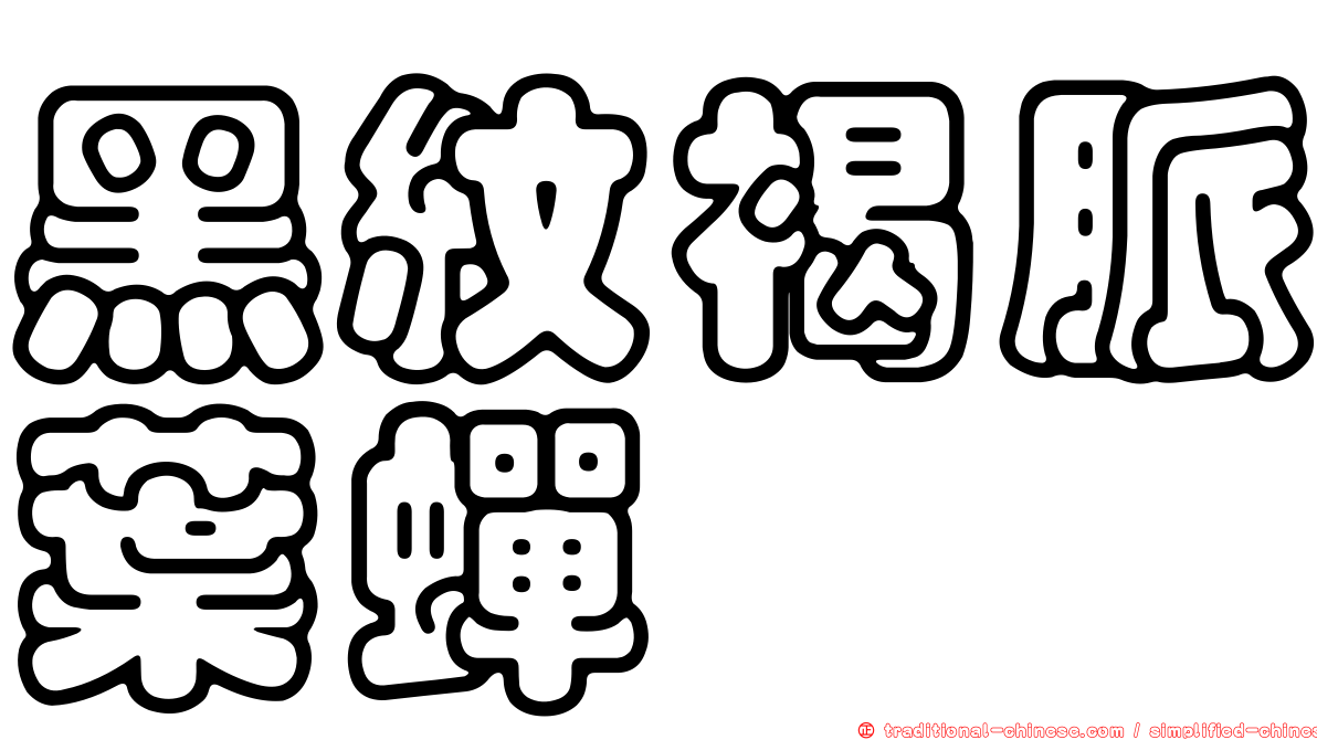 黑紋褐脈葉蟬
