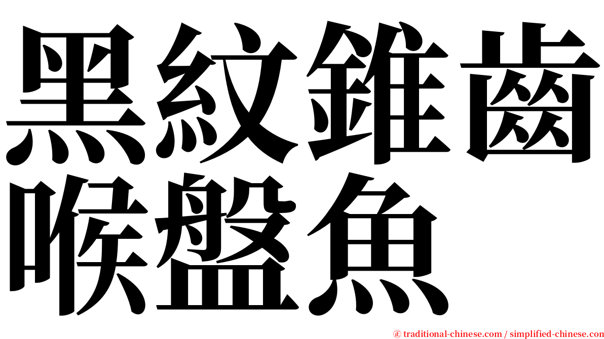 黑紋錐齒喉盤魚 serif font