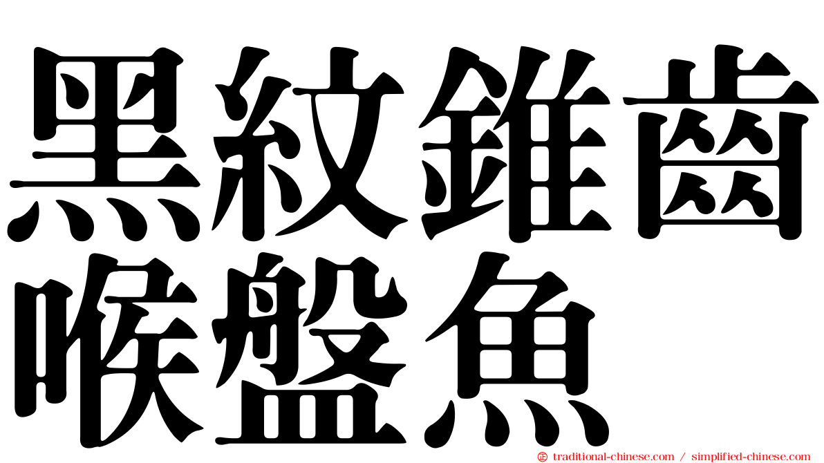 黑紋錐齒喉盤魚