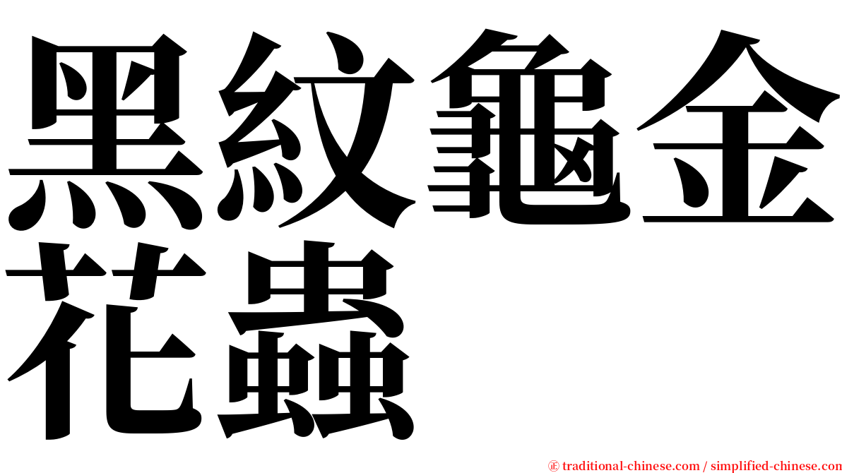 黑紋龜金花蟲 serif font