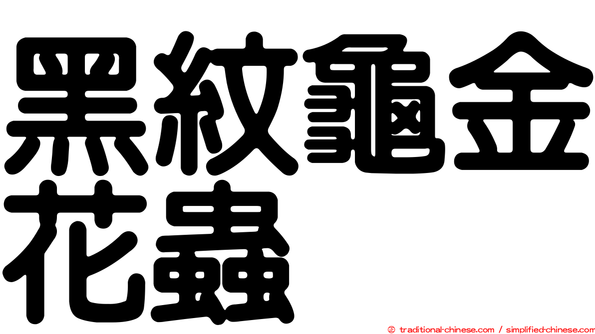 黑紋龜金花蟲