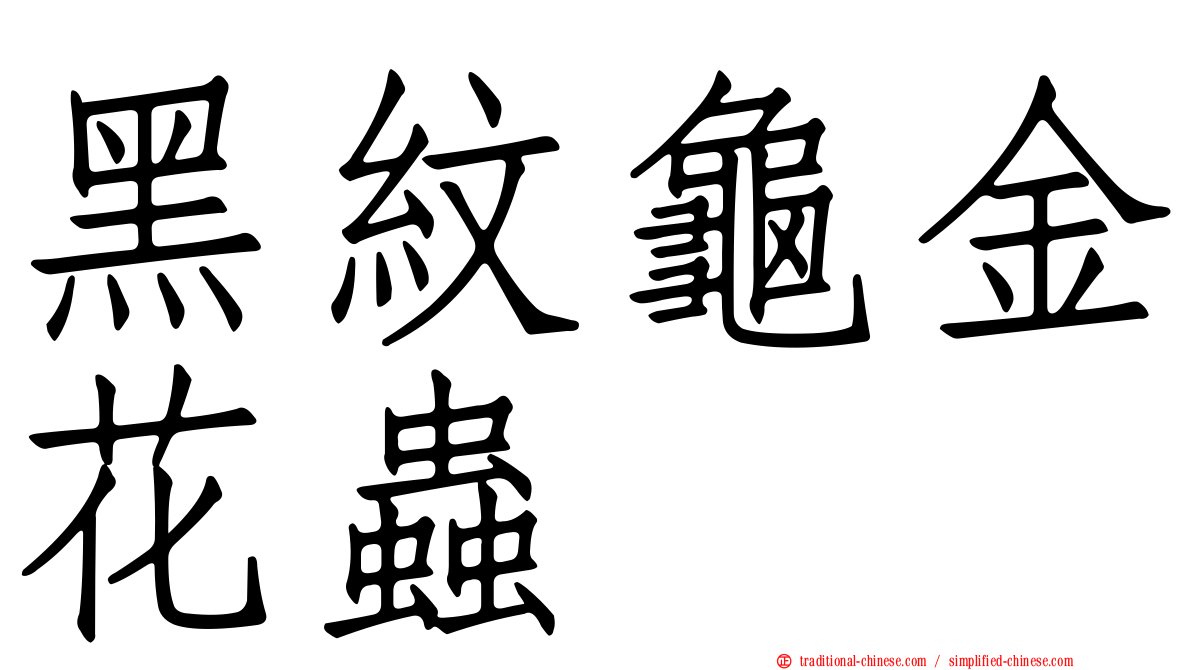 黑紋龜金花蟲