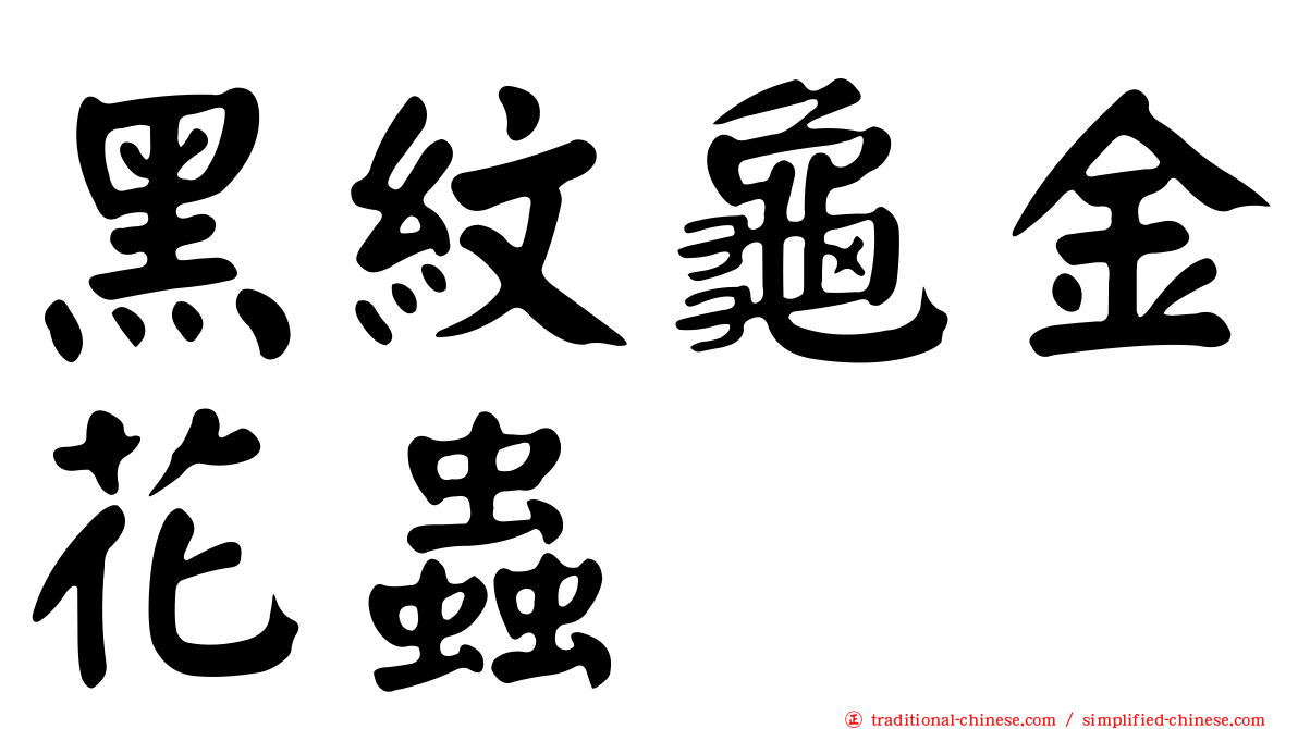 黑紋龜金花蟲