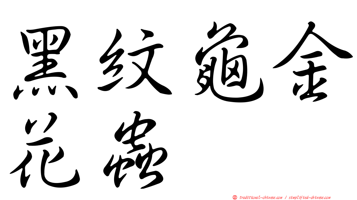 黑紋龜金花蟲