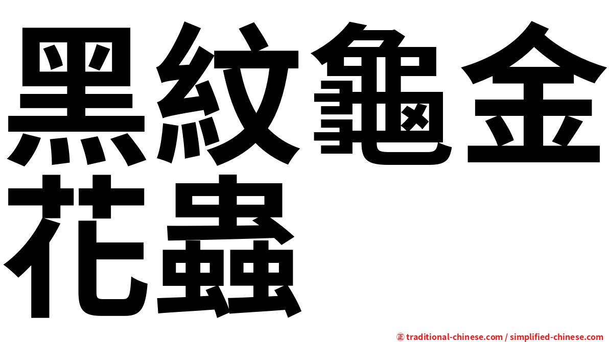 黑紋龜金花蟲