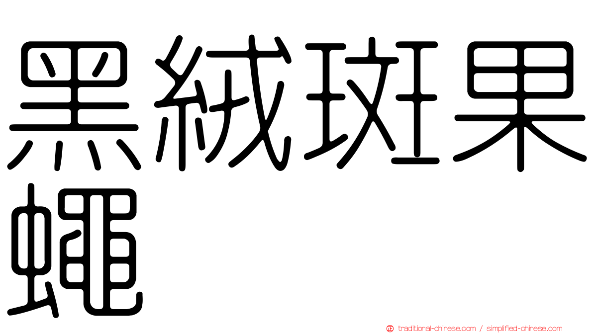 黑絨斑果蠅