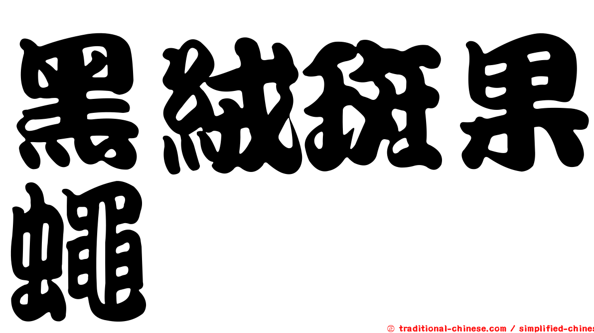 黑絨斑果蠅